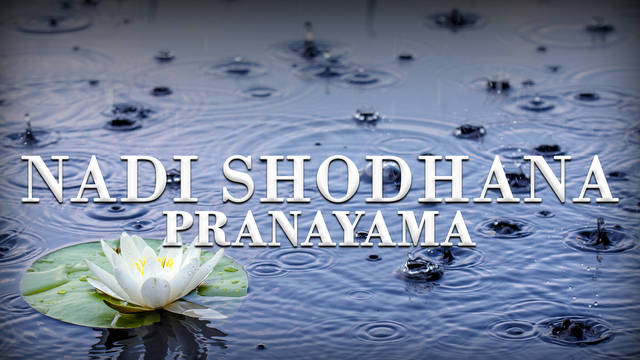 Práctica de Pranayama 2: Nadi Shodhana