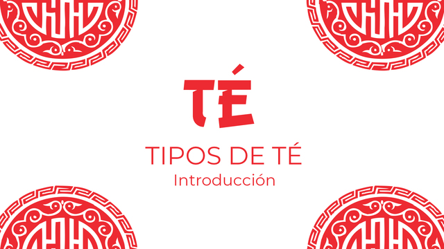 Introducción a los distintos tipos de té