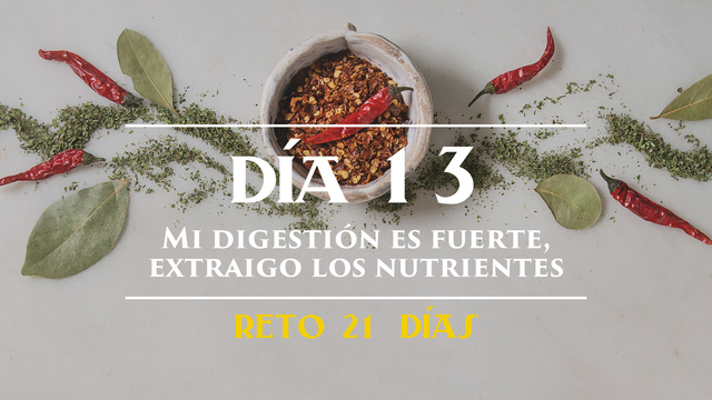 Día 13 - Extraigo el máximo de nutrientes de los alimentos