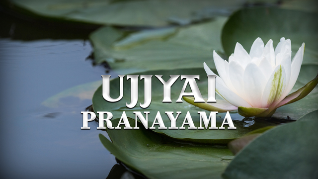 Pranayama Practice 3: Ujjayi