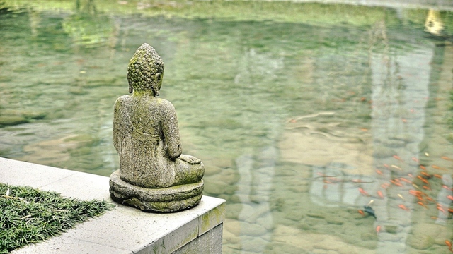 Budismo: historia y creencias