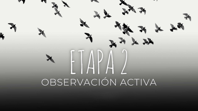 12 - Observación activa