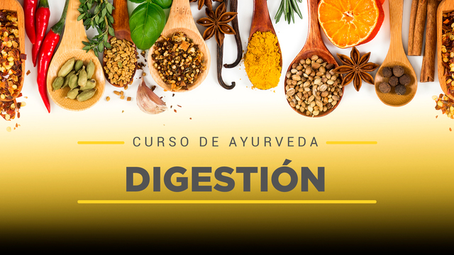 12 Digestión y ayurveda