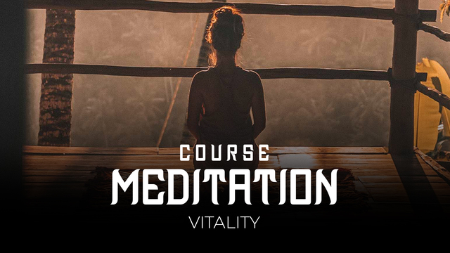 02 Meditation - Vitality