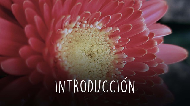 Introducción dolor menstrual