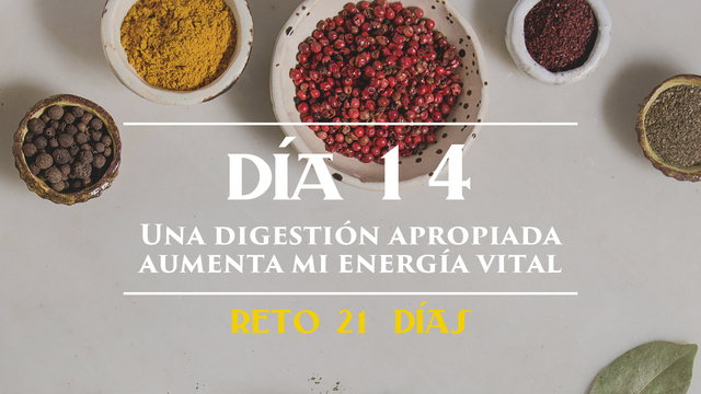 Día 14 - Una buena digestión aumenta mi energía vital