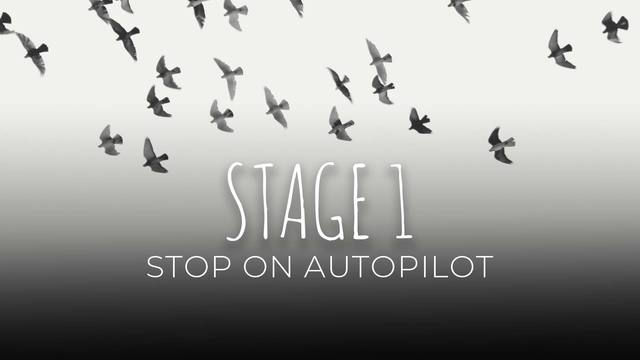 01 Stop on autopilot
