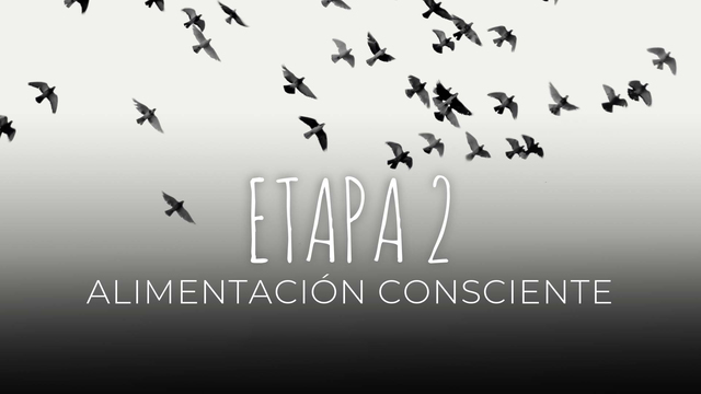 10 Alimentación consciente