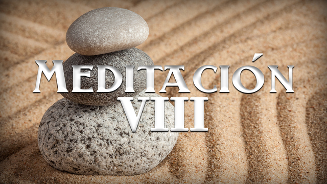Meditación VIII