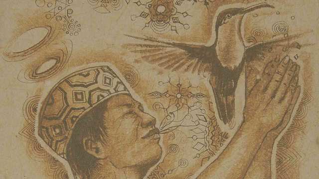 Ayahuasca History