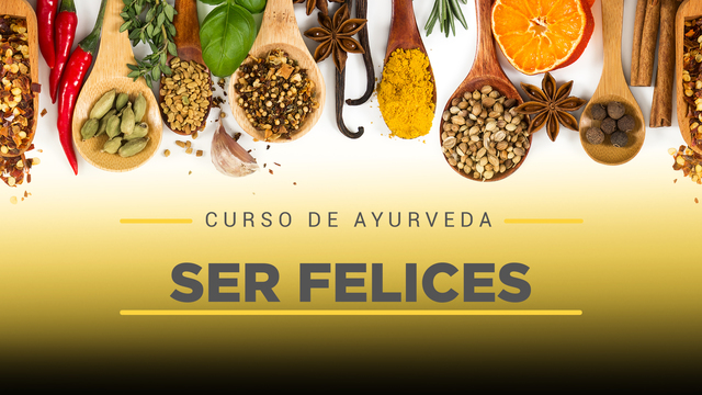14 Ser Felices