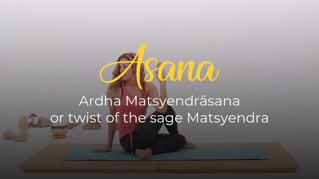 Ardha Matsyendrâsana or Twist of the Sage Matsyendra