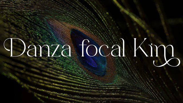 Danza Focal Kim