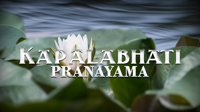 Práctica de Pranayama 1: Kapalabhati