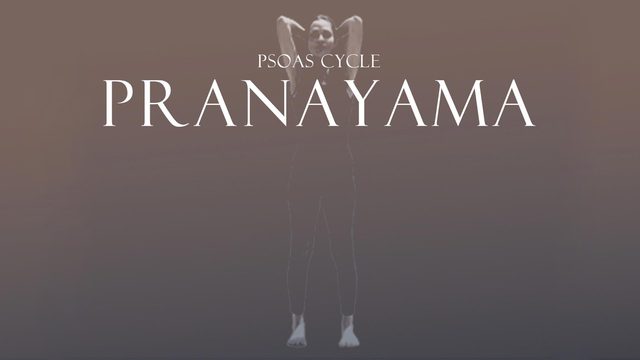 Clase 4 - Pranayama