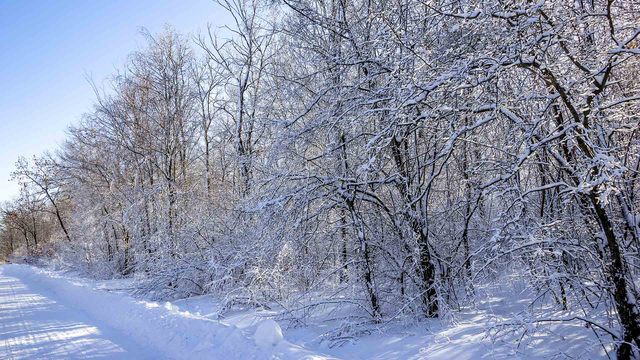Modifica tus rutinas en invierno con la ayuda de TV Consciente