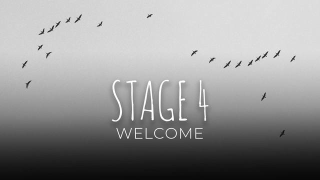 Welcome Stage 4: Mindfulness expansion