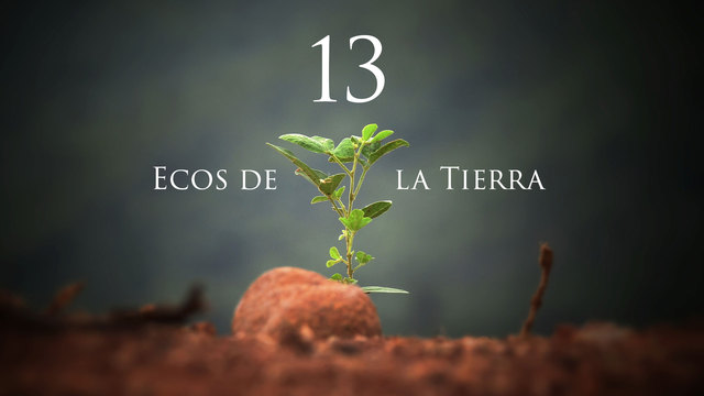 Ecos de la Tierra T1E13