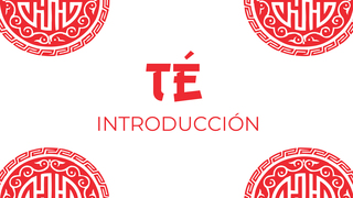 Introducción Amaia Lauzurika, experta en té
