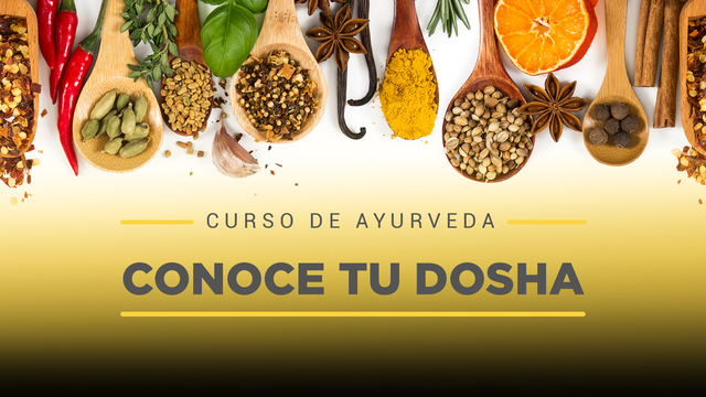 08 Conoce tu dosha
