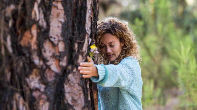 Abrazar árboles como terapia de sanación
