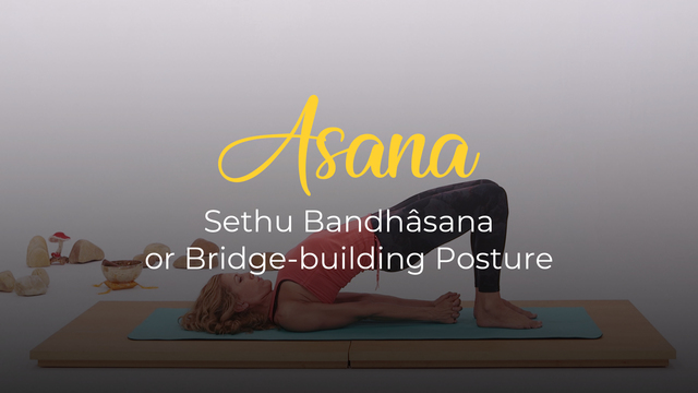 Sethu Bandhâsana or Bridge Building Posture